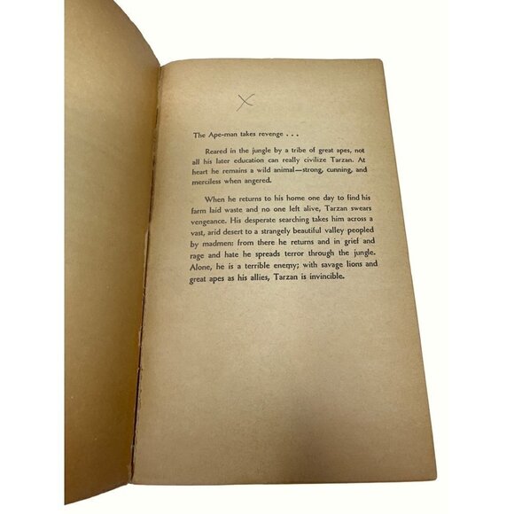 Tarzan Book Set Tarzan The Untamed and Tarzan Triumphant Edgar Rice Burroughs - Picture 6 of 12